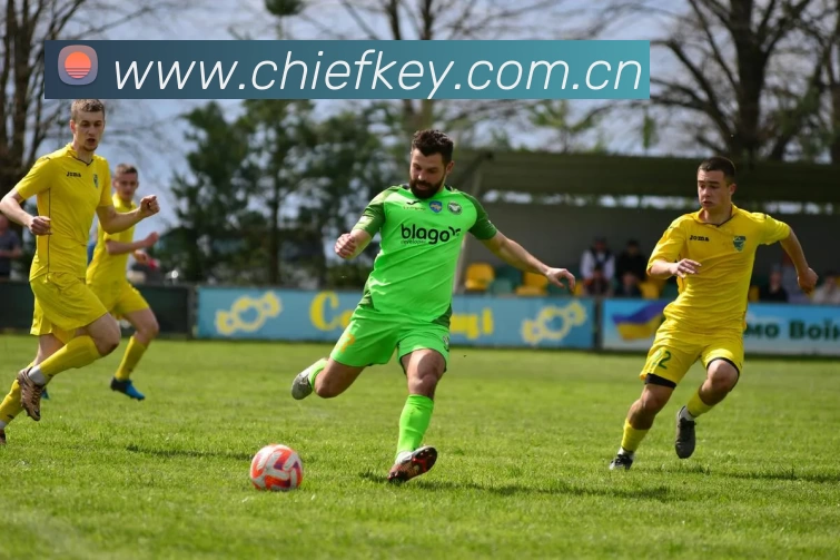 leyu乐鱼APP 高清赛事图