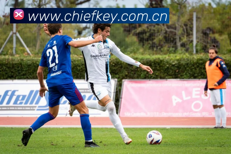 奖项证书